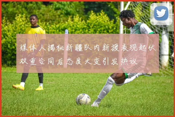 媒体人揭秘新疆队内新援表现起伏双重合同后态度大变引发热议
