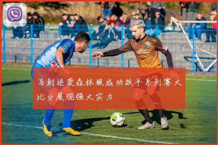 马刺逆袭森林狼成功扳平系列赛大比分展现强大实力